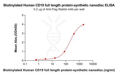 elisa-flp100499b cd19 elisa3