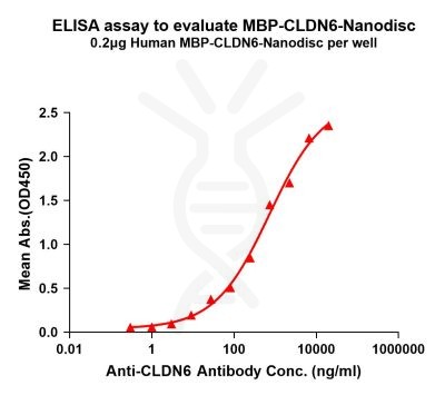 elisa-flp110008 mbp cldn6 elisa1
