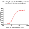elisa-flp120169 5ht4r strep elisa1