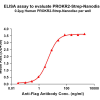 elisa-flp120448 prokr2 strep elisa1