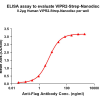 elisa-flp120494 vipr2 strep elisa1