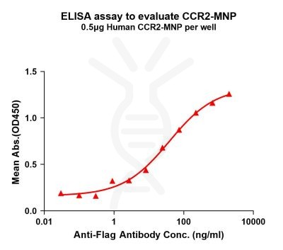 elisa-flp200028 ccr2 elisa1