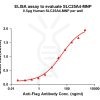 elisa-flp200032 slc25a4 elisa1