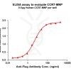 elisa-flp200060 ccr7 elisa1