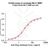 elisa-flp200087 mlc1 elisa1
