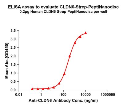 elisa-flp420008 cldn6 strep elisa1
