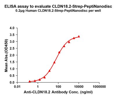 elisa-flp420014 cldn18.2 strep elisa1