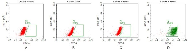 fc-FLP100004 CLDN6 Fig.2 FC 1