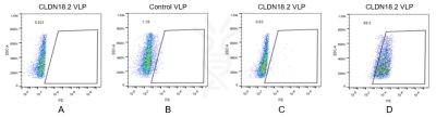 fc-FLP100006 CLDN18.2 Fig.2 FC 1