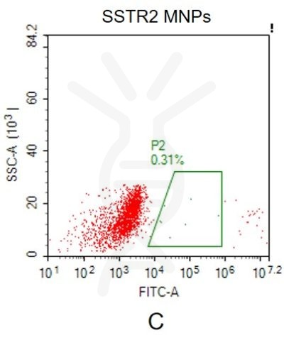 fc-FLP100012 SSTR2 Fig.2C FC 1