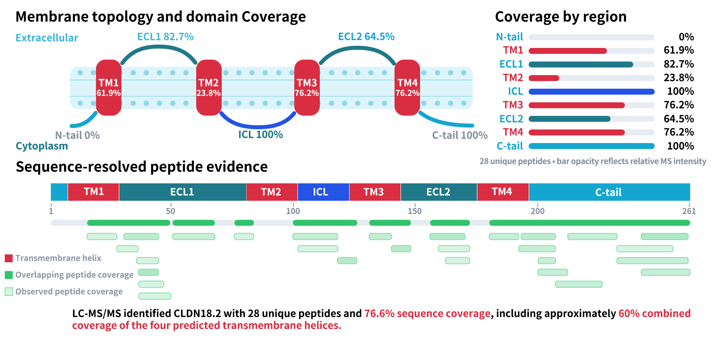 flp100014-cldn18.2-ms2.png