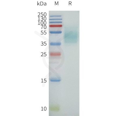 page-flp120238 ffar4 sp1