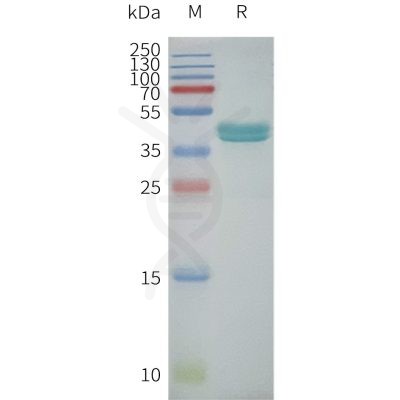 page-flp120289 gprc5c sp1