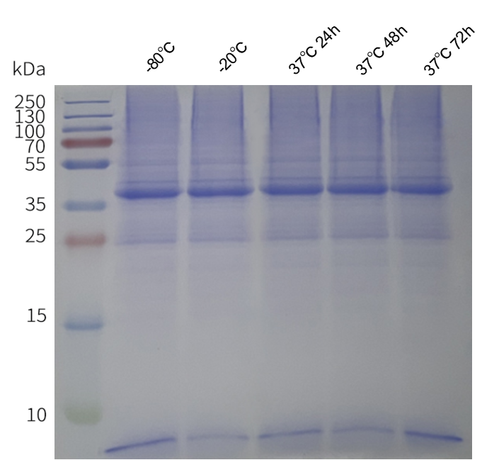 flp400011-gprc5d-sp2.png