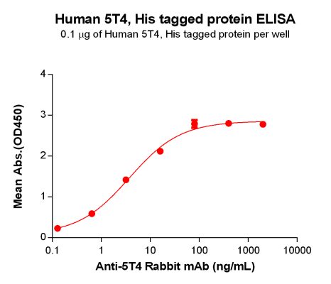 elisa-PME100123 5T4 His ELISA Fig2
