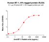 elisa-PME100473 B71 hFc ELISA Fig5