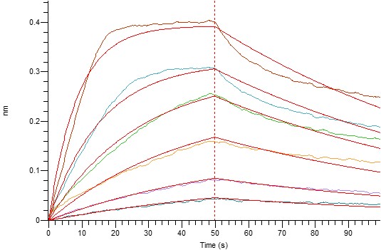 PME30037-CS19-P60568-ELISA-2.jpg