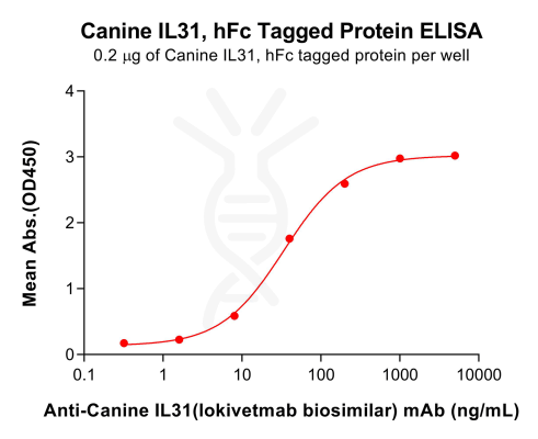 elisa-pme d100012 il31 elisa1