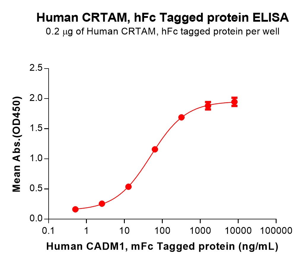 pme101546-crtam-elisa1.jpg