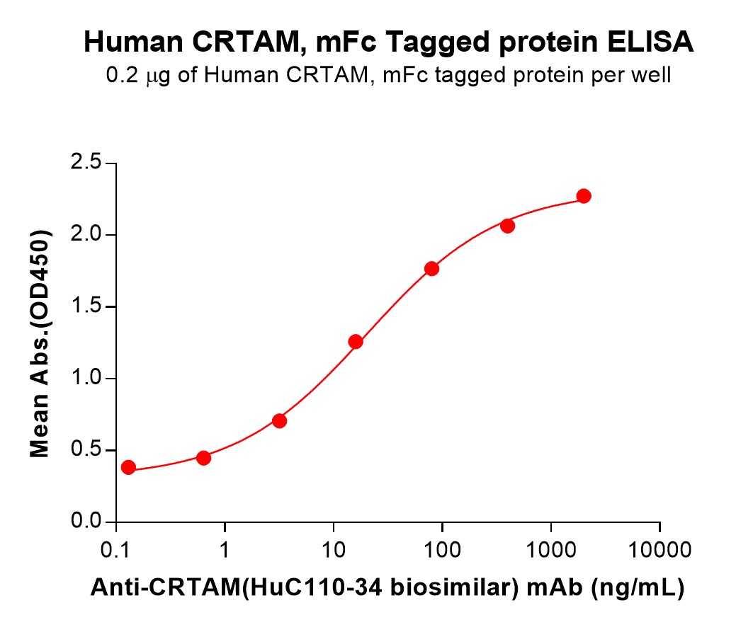 pme101547-crtam-elisa2.jpg