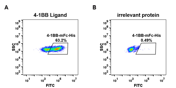 PME100011-4-1BB-mFc-His-FC-Fig2.jpg