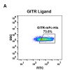 fc-PME100019 GITR mFc His FC A Fig2