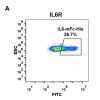 fc-PME100032 IL6 mFc His FC A Fig4