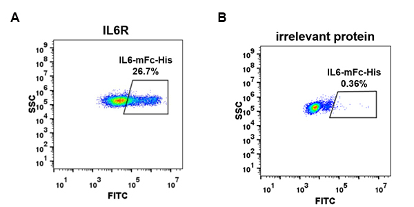 fc-PME100032 IL6 mFc His FC Fig4