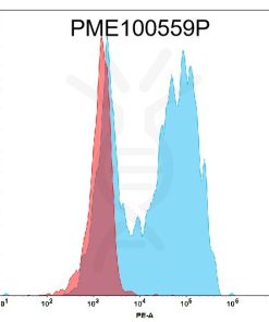 fc-PME100559P PE GPRC5D mFc FLOW Fig.1