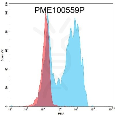 fc-PME100559P PE GPRC5D mFc FLOW Fig.1