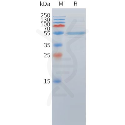 sp-pme c100063 dll3 sp1