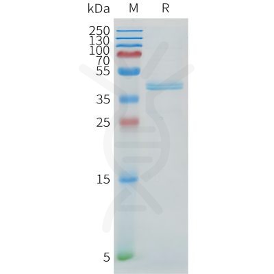 sp-pme c100066 dll3 sp1