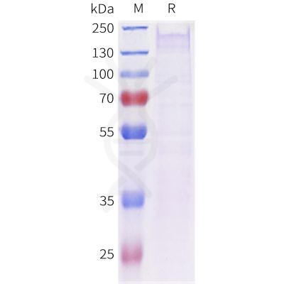 sp-pme c100084 sez6 sp1