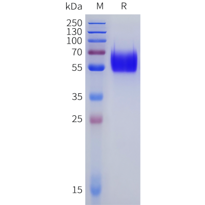 sp-pme c100101 pd 1 sp1