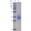 sp-pme c100118 cd2 sp1