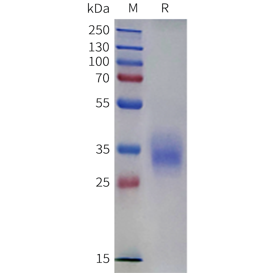 sp-pme c100118 cd2 sp1