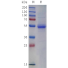 sp-pme c100119 cd4 sp1