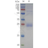 sp-pme c100121b cd79b sp1