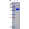 sp-pme d100006b pd1 sp1