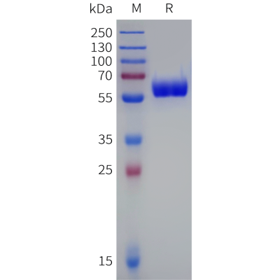 sp-pme d100006b pd1 sp1