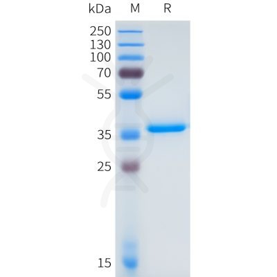sp-pme m100123 dll3 sp1