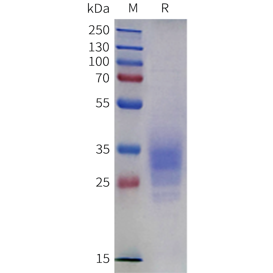 sp-pme m100139 cd2 sp1