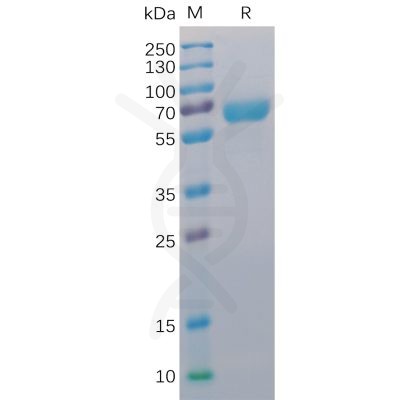 sp-pme100016 cd48 sp1