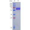 sp-pme100025b pd 1 sp1