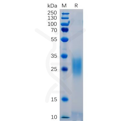 sp-pme100461 pd 1 sp1