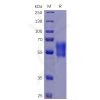 sp-pme100462 pd1 sp1