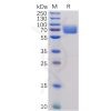 sp-pme100473 b7 1 sp1