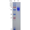 sp-pme100507b cb1 sp1