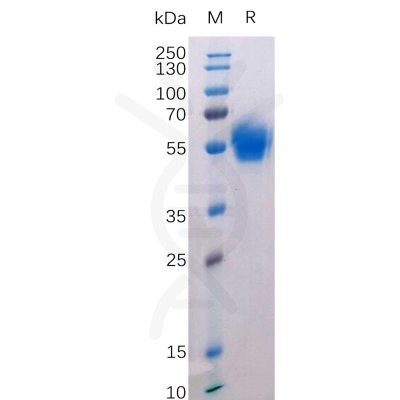 sp-pme100523 btla sp1