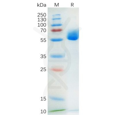 sp-pme100563 scf sp1